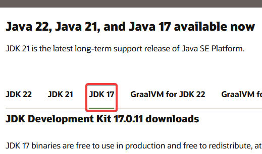 Screenshot of the Oracle website, highlighting the Java 17 navigation item